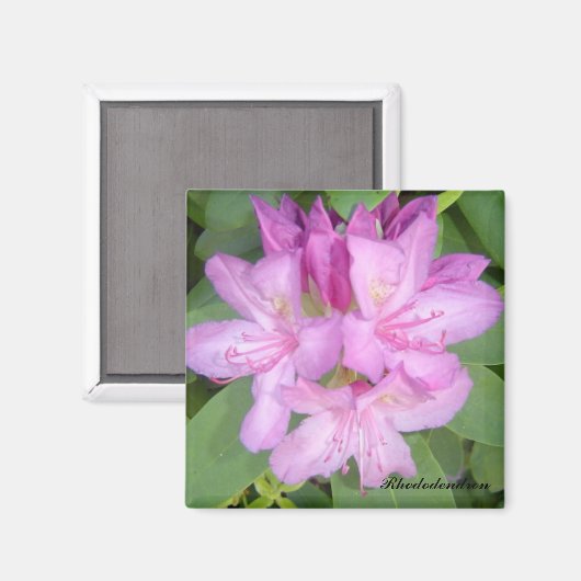 Drijvende Rhododendron Struik Magneet (Voorkant / Achterkant)
