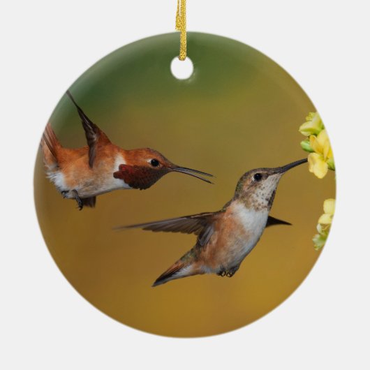 Drijvende roofvogel keramisch ornament (Achterkant)