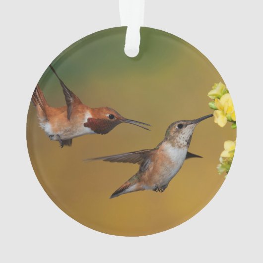 Drijvende roofvogel ornament (achterkant)