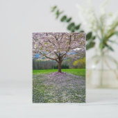 Drijvende roze bloesem van de Cherry met Bossen Briefkaart (Staand voorkant)