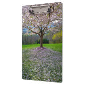 Drijvende roze bloesem van de Cherry met Bossen Klembord (Links)