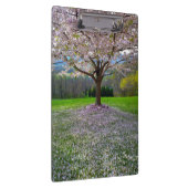 Drijvende roze bloesem van de Cherry met Bossen Klembord (Rechts)