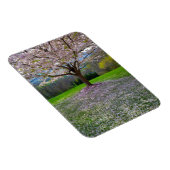 Drijvende roze bloesem van de Cherry met Bossen Magneet (Rechterzijde)