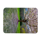Drijvende roze bloesem van de Cherry met Bossen Magneet (Horizontaal)
