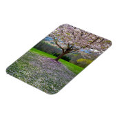 Drijvende roze bloesem van de Cherry met Bossen Magneet (Linkerzijde)