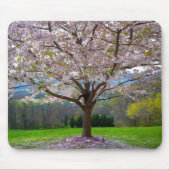 Drijvende roze bloesem van de Cherry met Bossen Muismat (Voorkant)