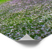 Drijvende roze bloesem van de Cherry met Bossen Poster (Hoek)