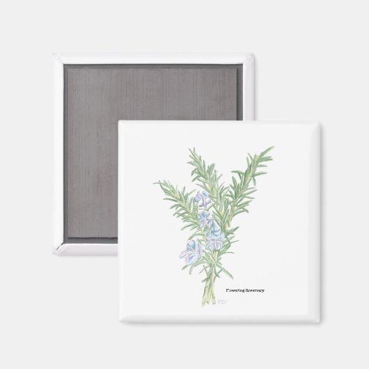 Drijvende rozemarijn magneet (Voorkant / Achterkant)