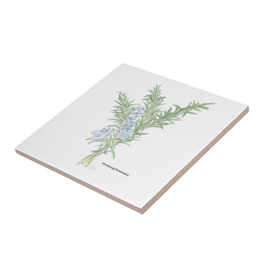 Drijvende rozemarijn tegeltje (Zijkant)