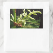 Drijvende Rubarb Stalks Natuur Foto Rechthoekige Sticker (Tas)