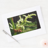 Drijvende Rubarb Stalks Natuur Foto Rechthoekige Sticker (Envelop)