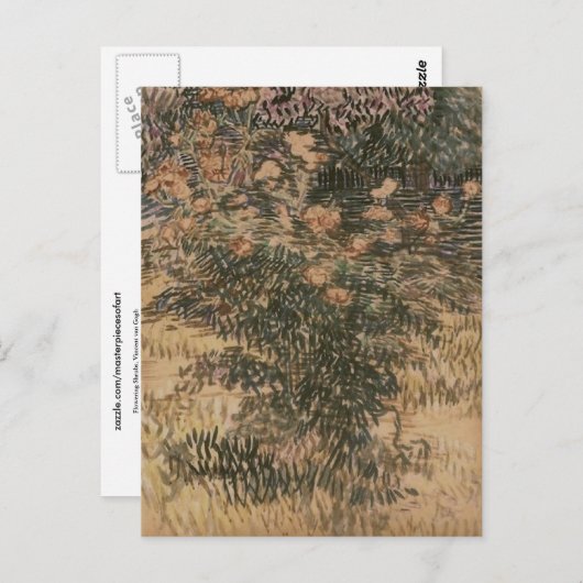 Drijvende struiken, Vincent van Gogh Briefkaart (Voorkant / Achterkant)