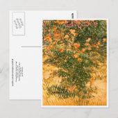 Drijvende struiken, Vincent van Gogh Briefkaart (Voorkant / Achterkant)