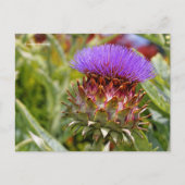 Drijvende Wereldbol Artichoke Vegetable Briefkaart (Voorkant)