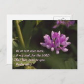 Drijvende wilde bloem briefkaart (Voorkant / Achterkant)