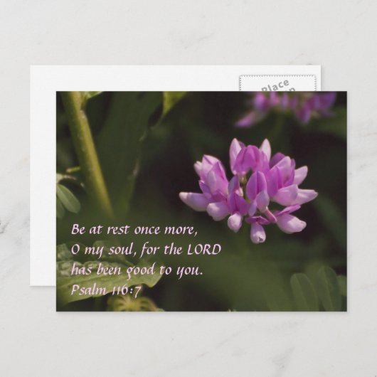 Drijvende wilde bloem briefkaart (Voorkant / Achterkant)