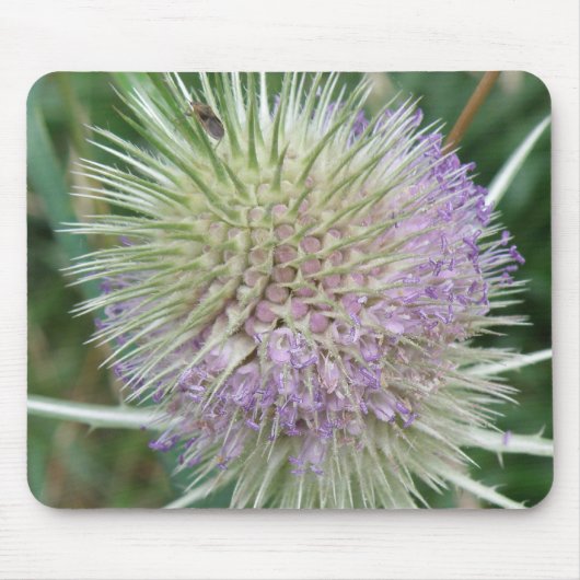 Drijvende Wilde Grass Mousepad Muismat (Voorkant)
