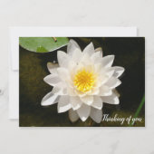 Drijvende Witte Waterlelie Lotus Kaart (Voorkant)