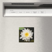 Drijvende Witte Waterlelie Lotus Magneet (Insitu (Vaatwasser))