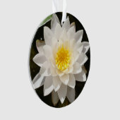 Drijvende Witte Waterlelie Lotus Ornament (voorkant)