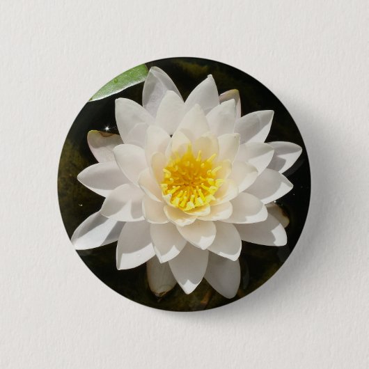 Drijvende Witte Waterlelie Lotus Ronde Button 5,7 Cm (Voorkant)