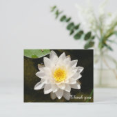 Drijvende Witte Waterlieveling Lotus Dank je wel Briefkaart (Staand voorkant)