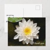 Drijvende Witte Waterlieveling Lotus Dank je wel Briefkaart (Voorkant / Achterkant)