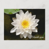 Drijvende Witte Waterlieveling Lotus Dank je wel Briefkaart (Voorkant)