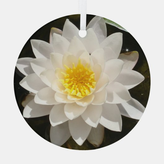 Drijvende witte waterlily Lotus Glas Ornament (Achterkant)