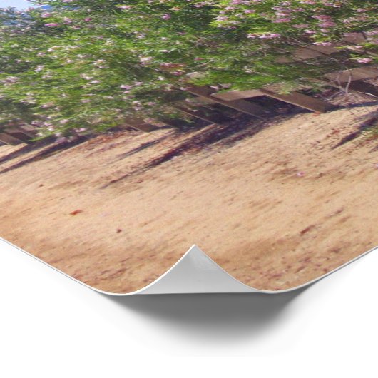 Drijvende Woestijnbossen en pad Poster (Hoek)