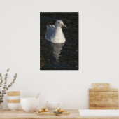 Drijvende zeemeeuw poster (Keuken)