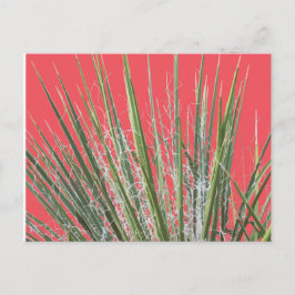 Dringend Plant Garden Briefkaart