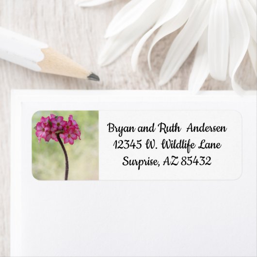 Dringend roos in roze etiket (Insitu)