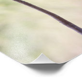 Dringend roos in roze foto afdruk (Hoek)