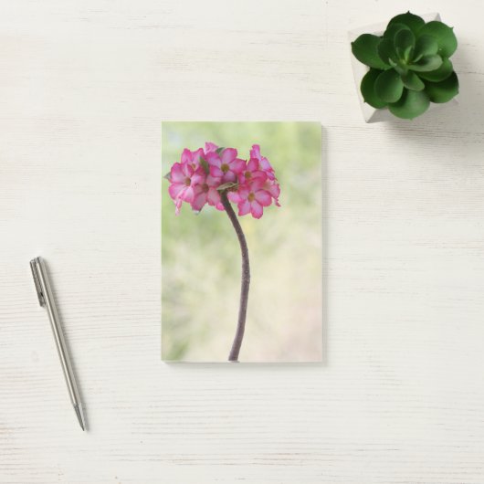 Dringend roos in roze post-it® notes (Kantoor)