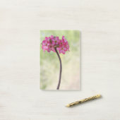 Dringend roos in roze post-it® notes (Op bureau)