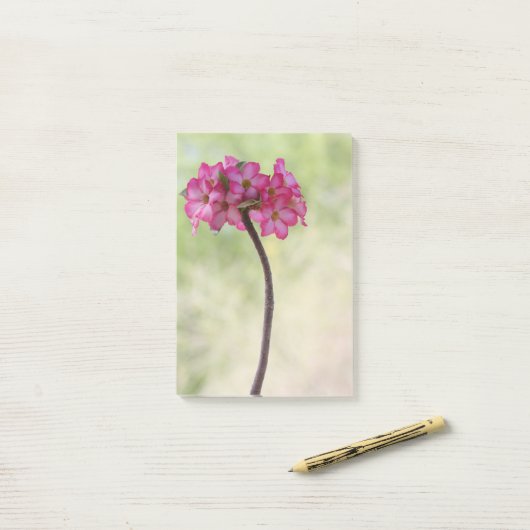 Dringend roos in roze post-it® notes (Op bureau)