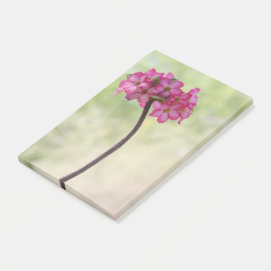 Dringend roos in roze post-it® notes (Schuin)