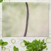 Dringend roos in roze theedoek (Gevouwen)