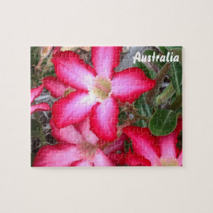 Dringend Roos puzzel