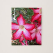 Dringend Roos puzzel (Verticaal)