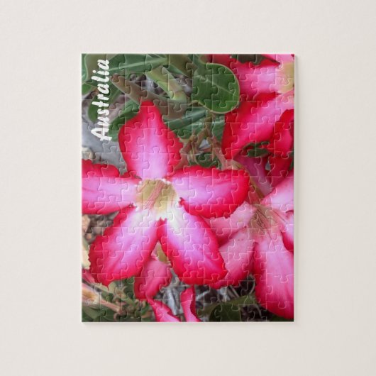 Dringend Roos puzzel (Verticaal)