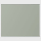 Dringend staal Solid Color Cadeaupapier (Vlak)