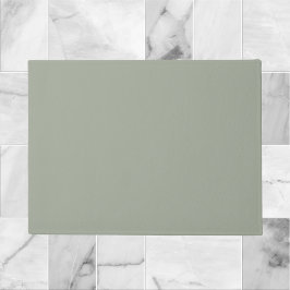 Dringend staal Solid Color Deurmat