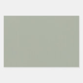 Dringend staal Solid Color Inpakpapier Vel (Voorkant 2)