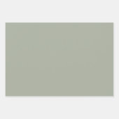 Dringend staal Solid Color Inpakpapier Vel (Voorkant)