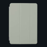 Dringend staal Solid Color iPad Mini Cover<br><div class="desc">Dringend staal Solid Color</div>