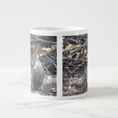 Dringende katoenstaart - Jumbo-Mok Grote Koffiekop (Voorkant)