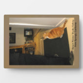 Dringende Painter Studio Gallery in Palm Springs,  Fotoplaat (voorkant)