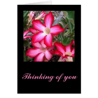 Dringende rosereetkaart